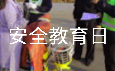 全國中小學生安全教育日宣傳活動總結精選9篇