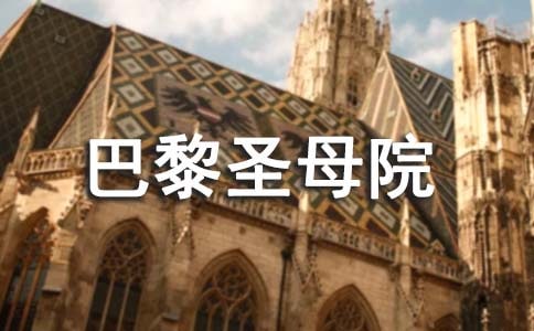 讀《巴黎圣母院》有感合集15篇