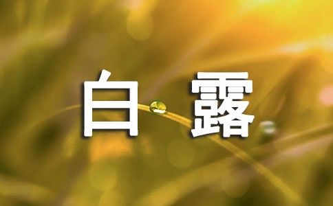 白露宣傳文案