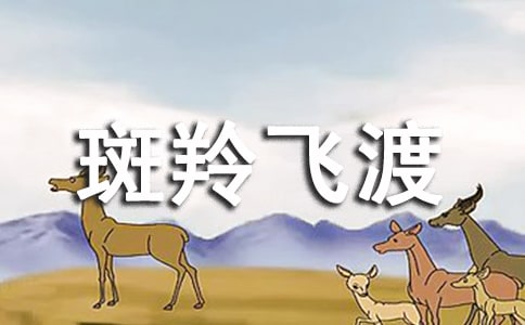 斑羚飛渡讀書筆記(優秀)
