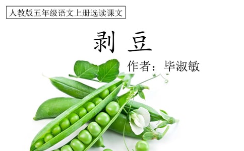 �x���������и�15ƪ[��(sh��)��]