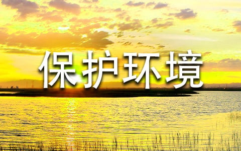 有關(guān)保護環(huán)境的手抄報圖例