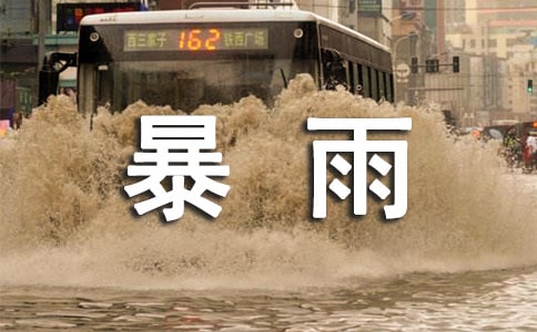 暴雨的作文15篇