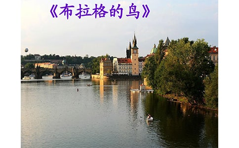 《布拉格的鳥》讀后感