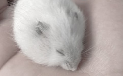 �}�������