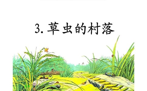 (精選)《草蟲的村落》教學(xué)設(shè)計(jì)優(yōu)秀4篇