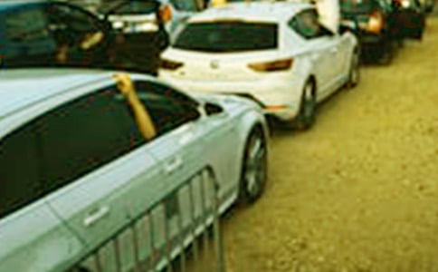 中班汽車展覽會教案