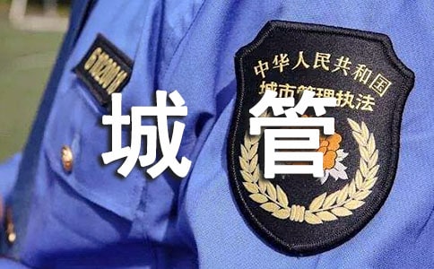城管協管員年終工作總結