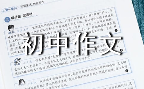 水滸傳讀后感初中作文