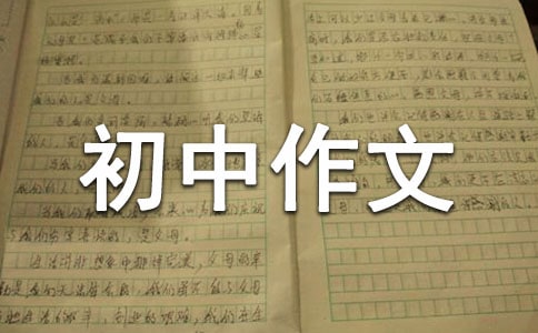 我們班的故事初中作文