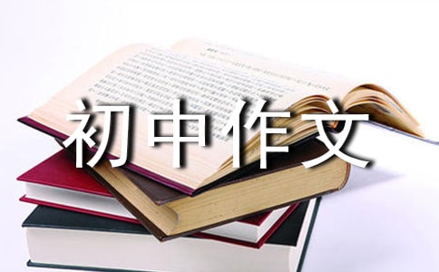 月考后的反思初中作文