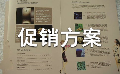 (必備)購物節促銷方案