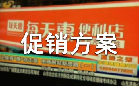 (薦)購物節促銷方案