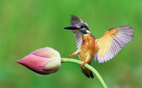 ��һ�n�r�����B���̌W�OӋ
