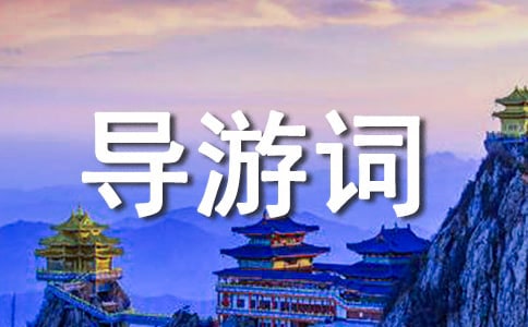 �����z�a(ch��n)��(d��o)���~����