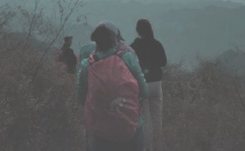 登山感悟作文(通用63篇)