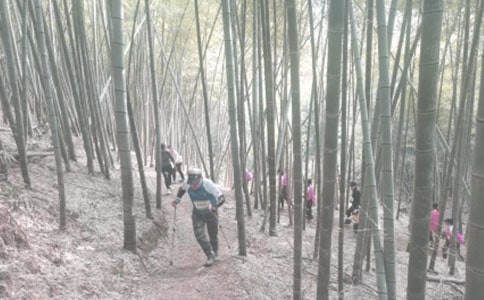 關于登山的作文