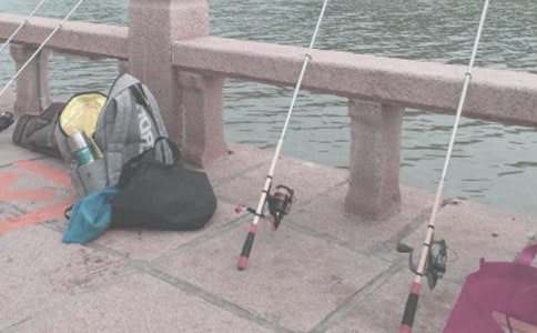 關于釣魚的作文(匯編15篇)