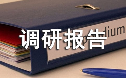 農村養老調研報告