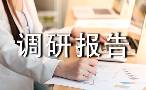電氣專業調研報告