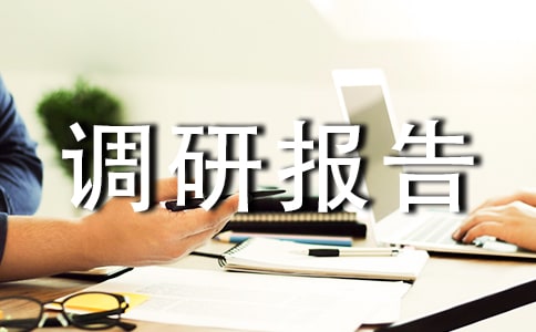 縣道調研報告優質