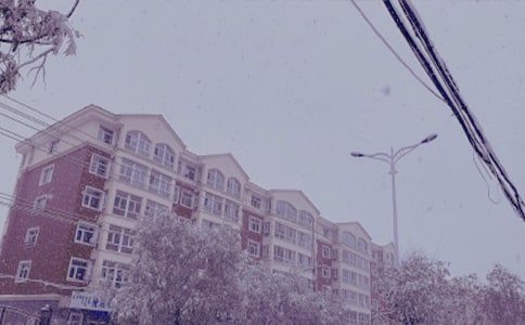 冬日即景作文15篇