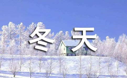 期待冬天作文