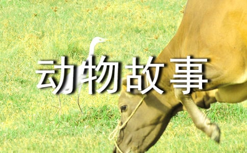 (��)�x�����D������¡��и�