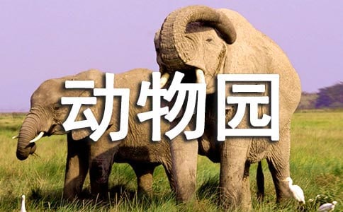 實用的我家的動物園作文3篇