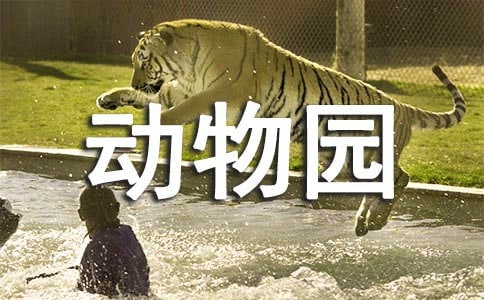 我家是動物園作文