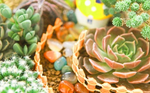 �t��ʯ������Bֳ����