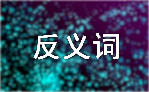 誤解的反義詞