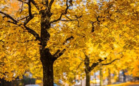 �L���@߅����