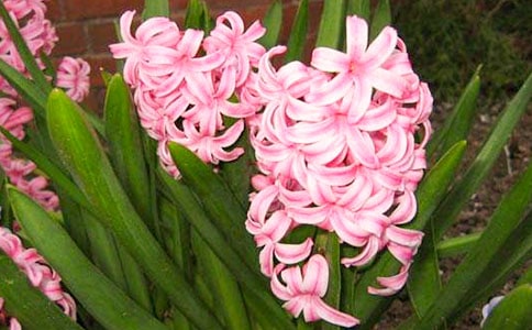 �L(f��ng)�������ľ�Ʒ[15ƪ]