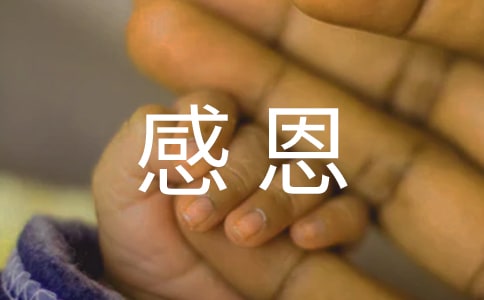 Т����ĸ�W(xu��)��(hu��)�ж����}����(hu��)�n������
