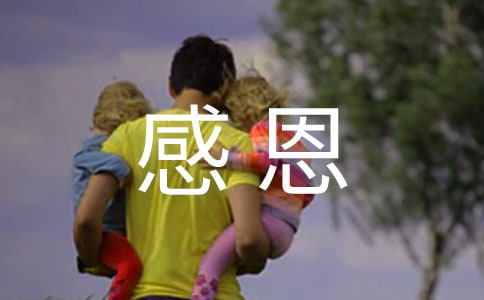 【必備】感恩作文600字集錦5篇