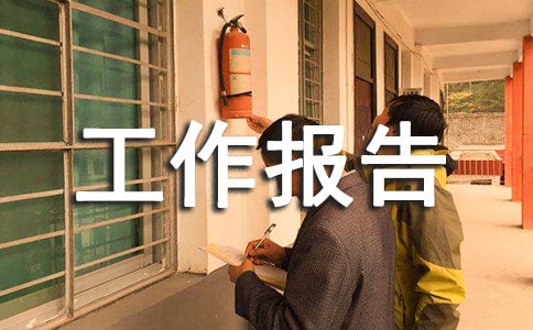 年度總結工作報告