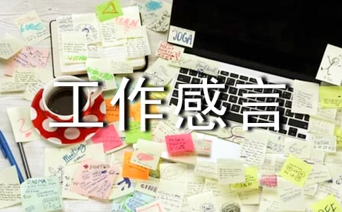 保險(xiǎn)工作感言范文