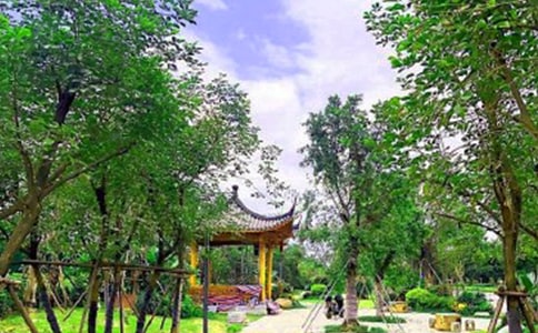 有關公園雕塑作文集合8篇