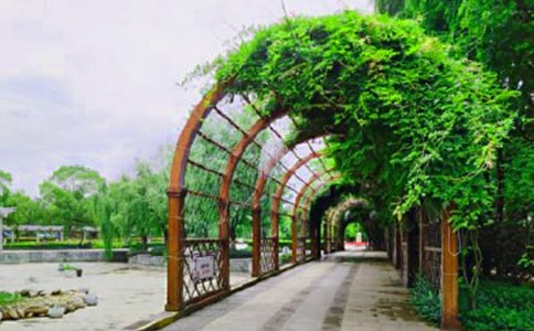 有關(guān)公園雕塑作文集錦八篇