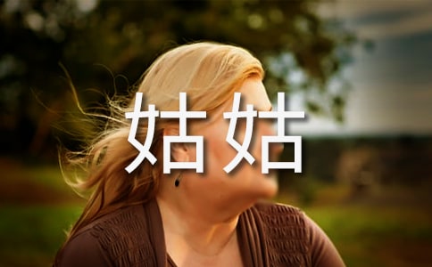 去姑姑家做客作文