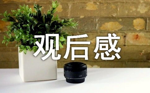 《特別追蹤》觀后感(精選4篇)