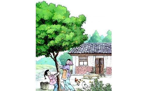 �����꡷�u�n�僞�x��11ƪ��