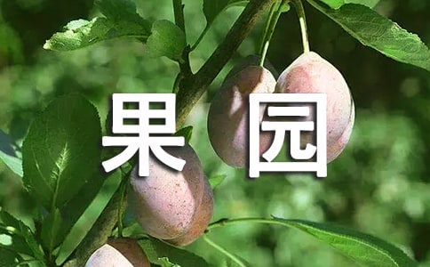 鄉(xiāng)鎮(zhèn)果園示范區(qū)建設(shè)情況匯報(bào)材料