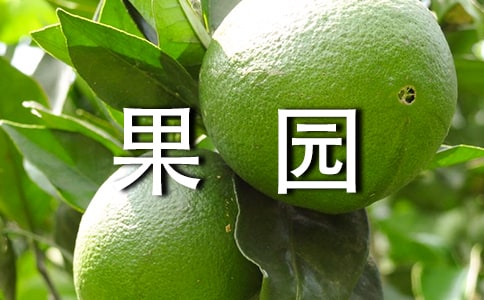 ��(du��)�����@�C(j��)���ˡ��̲ĵ�����