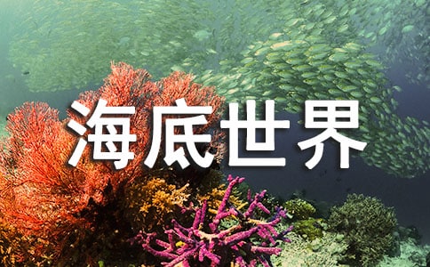(集合)《海底世界》教學(xué)設(shè)計(jì)