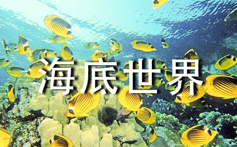 《海底世界》評課稿(通用11篇)