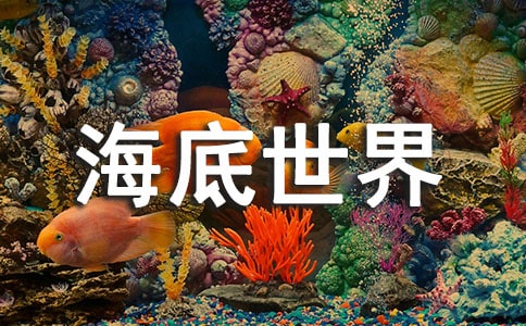 ���������硷�u�n��(����)