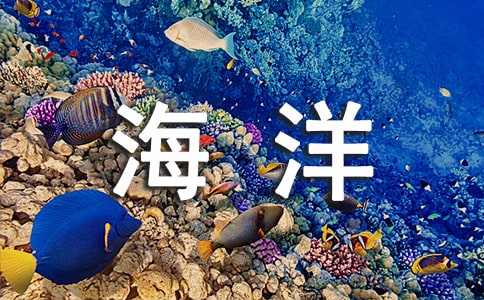 珠海海洋王國之旅作文