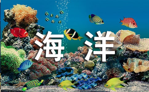 2015���纣�������}